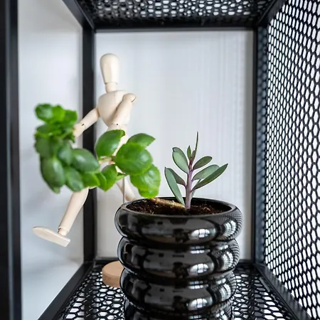 Queen's Palace Balcsik