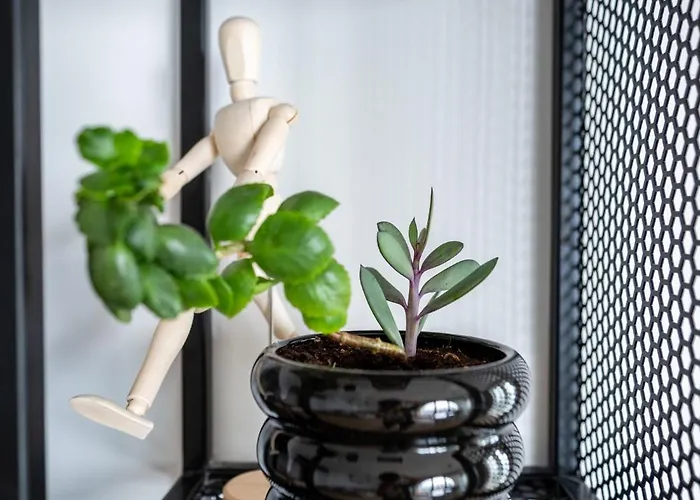 Queen's Palace Baltsjik